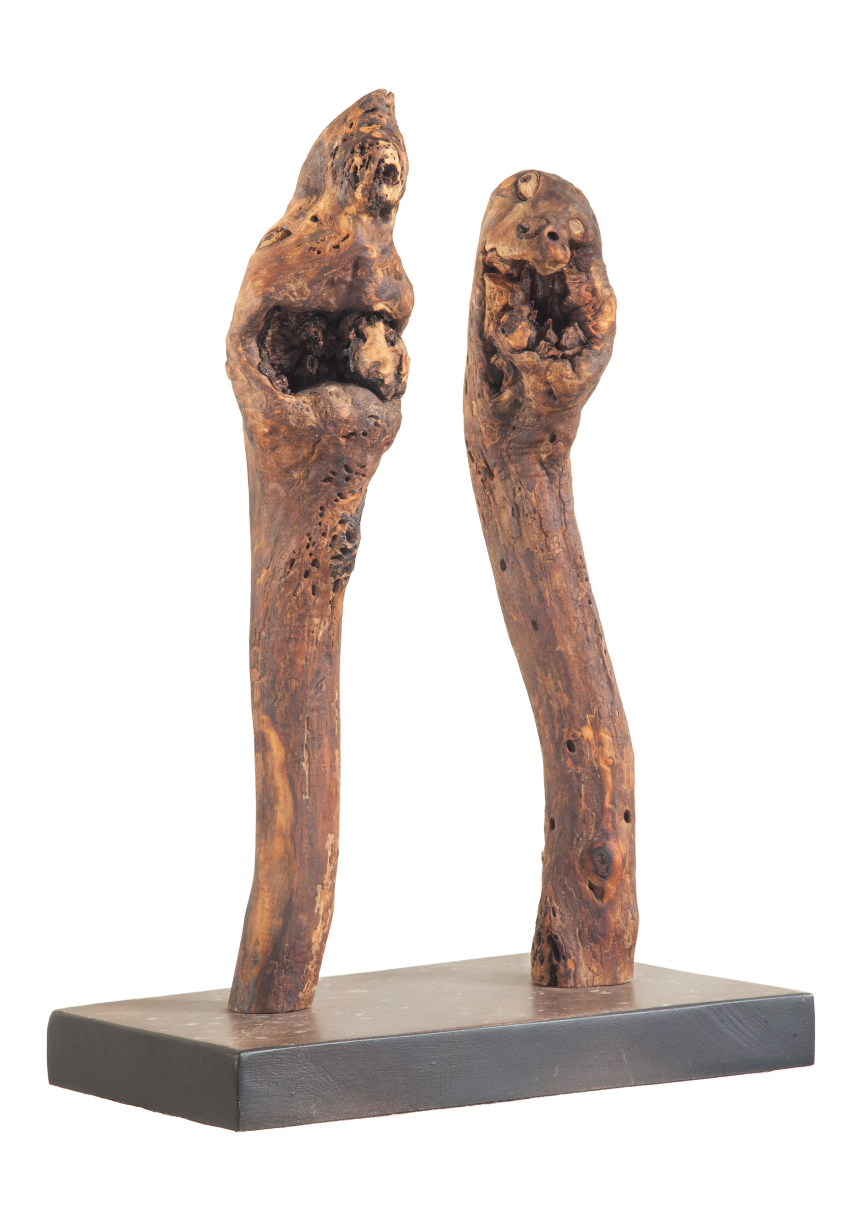 The Dictactor and his wife